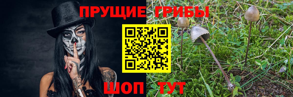 Галлюциногенные грибы мицелий Ишимбай