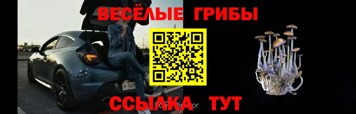 Ишимбай  Псилоцибиновые грибы Magic Shrooms  Вход с VPN  Галлюциногенные грибы Magic Shrooms 
